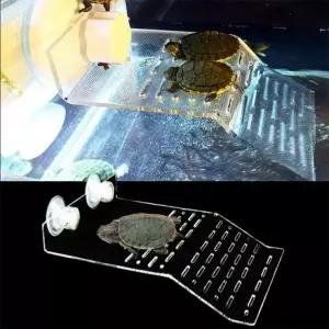 EA 거북이 일광욕 육지 놀이터 M 안전한 놀이기구 191cm