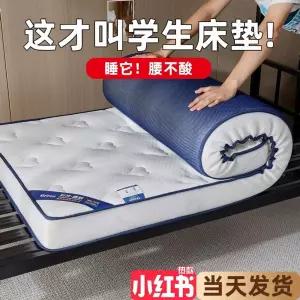 매트리스 원룸 토퍼 인 사이즈 접이식 라텍스 바닥 싱글