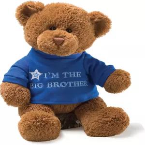 건드 나는 빅 브라더 메시지 베어와 파란색 티셔츠 테디 베어 인형 세 이상 2세
