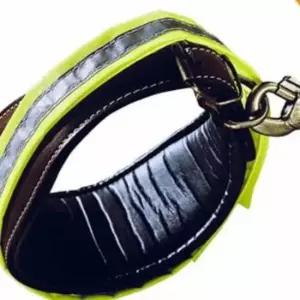 [반려] 야광목띠-XL 애완견목걸이 목줄