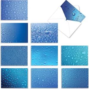 최고의 카드 회사 - 봉투가 포함된 10개의 박스형 올 케이스 카드(4 x 5.12 인치) 다채롭고 재미있는 메모