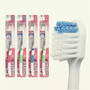 치과 칫솔 치석제거 둥근모 치과용 일본 스파이럴 특수모 MW94A854