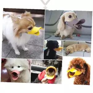 반려동물 훈련용 오리주둥이 모양 실리콘 소재 애견 짖음 통제 보호 마스크 가정용