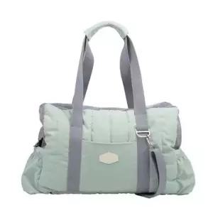 [반려] 패리스독 강아지이동가방 에브리웨어 패디드백 민트 유모차가드겸용