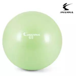 다-이어트 짐볼 65cm 라임크림 밸런스볼 하프짐볼