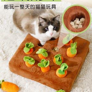 당근 먹이퍼즐 간식넣는 반려묘 트릿