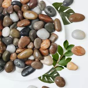 르클로리스 5Ib 레인 포레스트 리버 암석 장식용 돌-실내 식물용 암석-야외 조경용 암석- 어항 테라리움