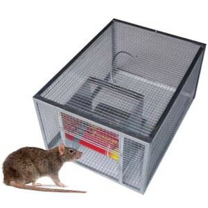 쥐 덫 트랩 쥐잡는 케이지 철망 틀 마우스 퇴치