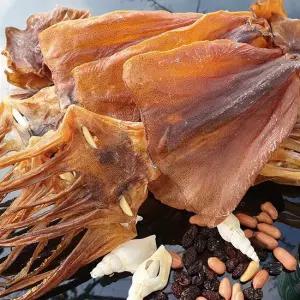 쫄쫄이 오징어 5미 대사이즈