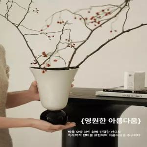 입구 넓은 테두리 세라믹 접시 가열 디너 플레이팅