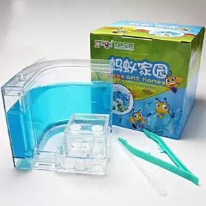 개미집 관찰 ㄱ자형 하우스 곤충키우기 교구 세트