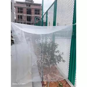 참새 60메쉬 블루베리 방조망 식물 텃밭 보호 농사 정원 그물망