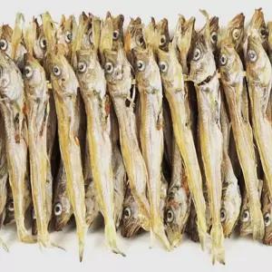 노가리 줄노가리 (햇) 100마리 말린 건조