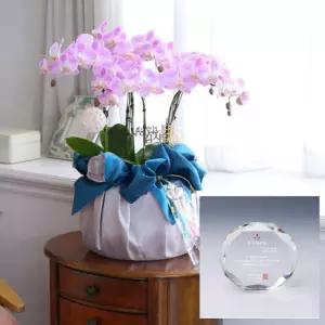 고급 보자기 꽃 생화선물세트 대 + 크리스탈 감사패 감사패 공로패 상패 꽃바구니 식물선물 꽃선물