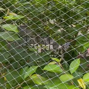 나무 보호 그물망 조류 방지망 방조망 퇴치 메쉬 포도 연못 새차단 과수망