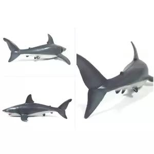 유치원 이름 생태기 자연학습 바다동물 백상어 피규어 모형 완구 야생 예쁜 미니어쳐