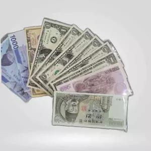 지폐홀더 100장 동전 앨범 지폐보관팩 수집용품 지폐수집용품 지폐홀더 동전앨범