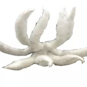 구미호꼬리 할로윈 분장 꼬리 머리띠 여우꼬리 졸사 특수