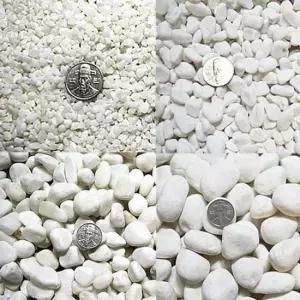어항꾸미기 화분 자갈 미술재료 백자갈 어항 장식 수족 15kg전후
