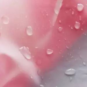 [콩심팥심]정리 (5호)파우치 슬라이드지퍼백 ZF 여행용 지퍼백 휴대용