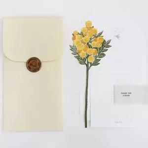 [문구] 감성 종이꽃 편지지 미모사 3P 실링왁스 편선지 세트