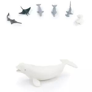 유치원 바다동물 상어 모형 생태학습 미니 벨루가와 바다친구득 6p 어린이집교구 완구