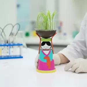 잔디인형 만들기 잔듸 꾸미기 창작 발아 키우기 조립 식물키우기 (일반형 1인용 2세트)