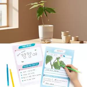 식물 키우기 키트 강낭콩 화분 키우기 쉬운 새싹 씨앗 심기 재배 키트 기르기 과학 관찰 (8개) 무료배송