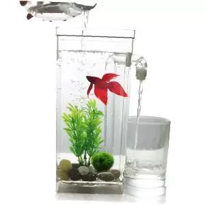 투명 원형 수조 관상어 사육 수생 식물 키우기 인테리어 데스크 미니 아쿠아 리움
