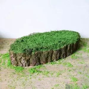 인조 이끼 다육식물 70cm