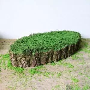 [콩심팥심]인조 이끼 다육식물 70cm