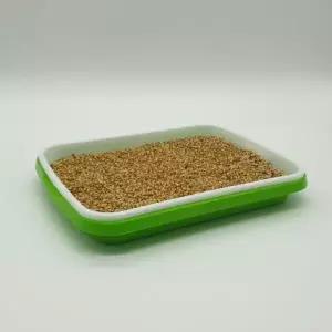 식물 재배기 새싹 트레이 샐러드 씨앗