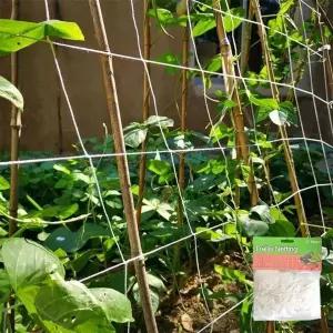 덩굴 지지대 식물그물망 오이 고추 그물망