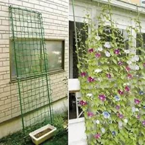 호박 유인망 네트 식물 지지대 그물망 오이