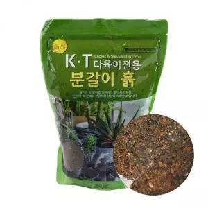 피트모스 분갈이 흙 다육이 흙