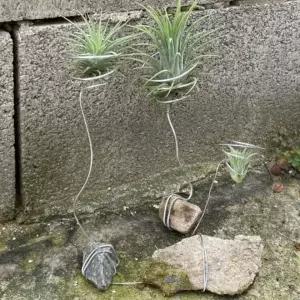 알루미늄 분재용 철사 원예 소나무