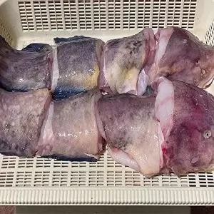 [셀러허브 식품]남해 손질 생물 물메기 1kg 1미 생물메기 손질물메기 꼼치 물곰 물텀벙 이 곰치 물메기 탕