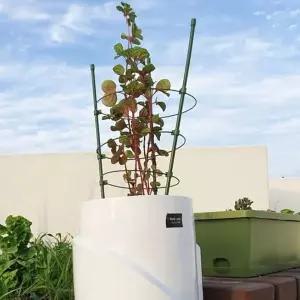 60cm 원형 식물 지지대 넝쿨 와이어 화분