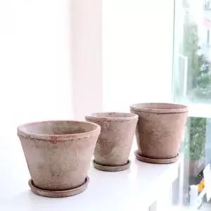 [콩심팥심]시멘트 화분 대 텃밭 22x16cm