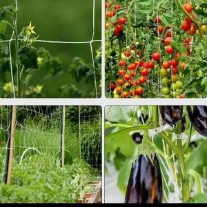 식물 지지대 넝쿨 식물망 그물망 울타리