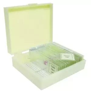 비전 사이언티픽 VSE123 준비 슬라이드 세트 - 곤충 부품(12개 세트)