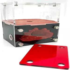 개미 농장 둥지 집 농장을 위한 행동 연구소 작은 개미집.