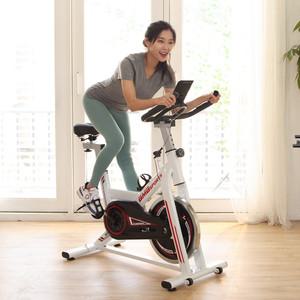 비앰비스포츠 고정식 자전거 BSI-X105AZ 스핀바이크 실내 사이클 가정용 홈트