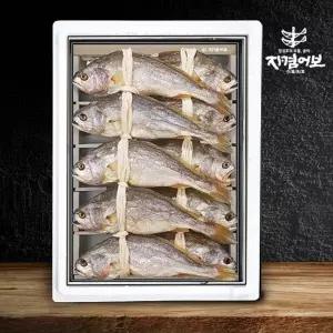 궁중진상 부세보리굴비세트 3호(10미/27~29cm)영광법성포