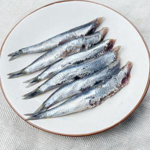 멸치회 기장 생멸치 500g 1kg