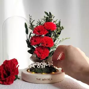 DIY 투게더 카네이션 유리돔 만들기 키트 재료 학교 어버이날