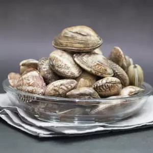 [덕이네수산] 싱싱한 활 참바지락(대) 1kg