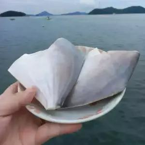 싱싱햇 횟감 생물 손질 병어 병어회 냉동 병치