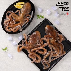 [산지명인] 전남 고흥 왕낙지 5마리 산소포장 활낙지 뻘낙지