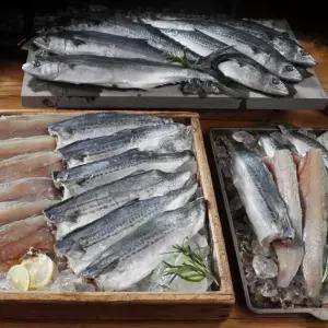 남해안 손질 등푸른 삼치 국내산 순살 팔뚝삼치 손질생선